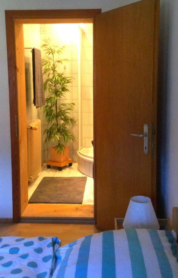 Pinkdeer Apartment Hallstatt Exterior photo